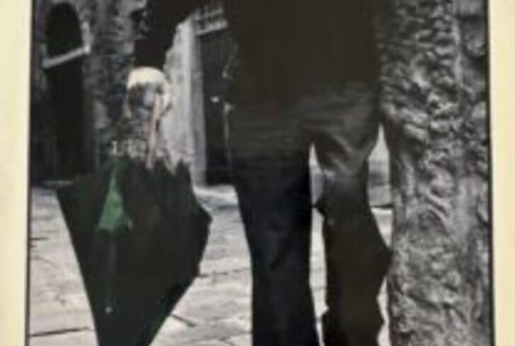 Netflix censura i compagni di Playmen: rimossi i veri rivoluzionari